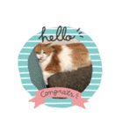 ねこやひとや景色など（個別スタンプ：1）
