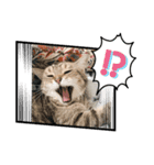 ねこやひとや景色など（個別スタンプ：6）