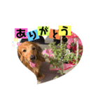 5匹の愉快な仲間たち（個別スタンプ：6）