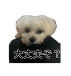 えるちースタンプ（個別スタンプ：3）