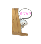 えるちースタンプ（個別スタンプ：4）