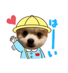 ぽぽわたちゃちゃなごみ（個別スタンプ：5）