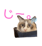 ぽぽわたちゃちゃなごみ（個別スタンプ：10）