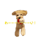 セサミのスタンプ（ちょんむくもいるよ）（個別スタンプ：10）