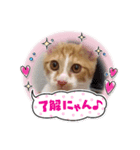 まおはおはお（個別スタンプ：1）
