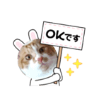 まおはおはお（個別スタンプ：2）