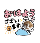 まおはおはお（個別スタンプ：4）