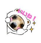 チワックスのミミちゃん♡（個別スタンプ：5）