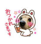 チワックスのミミちゃん♡（個別スタンプ：21）