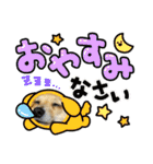 チワックスのミミちゃん♡（個別スタンプ：23）