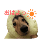 みりんちゃんと佐藤くん（個別スタンプ：1）