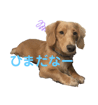 みりんちゃんと佐藤くん（個別スタンプ：3）