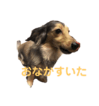 みりんちゃんと佐藤くん（個別スタンプ：4）