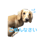 みりんちゃんと佐藤くん（個別スタンプ：6）