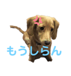 みりんちゃんと佐藤くん（個別スタンプ：7）