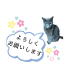 ロゼpart3（個別スタンプ：5）