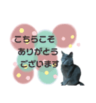 ロゼpart3（個別スタンプ：6）
