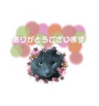 ロゼpart3（個別スタンプ：7）