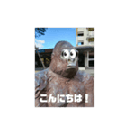 とある団地のゴリラ（個別スタンプ：10）