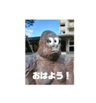 とある団地のゴリラ（個別スタンプ：11）