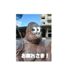 とある団地のゴリラ（個別スタンプ：13）