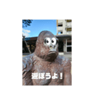 とある団地のゴリラ（個別スタンプ：14）