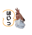 眞之2（個別スタンプ：5）