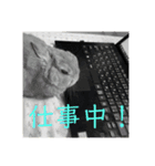 私の友だちたまおちゃん（個別スタンプ：5）