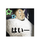 私の友だちたまおちゃん（個別スタンプ：8）