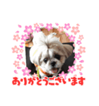 ライのごあいさつ（個別スタンプ：6）
