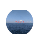 お花 海（個別スタンプ：1）
