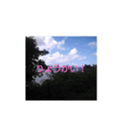 お花 海（個別スタンプ：4）