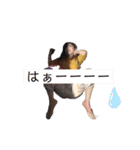 おきまり第三弾（個別スタンプ：11）