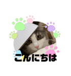 ルークvol.2（個別スタンプ：2）