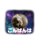 ルークvol.2（個別スタンプ：3）