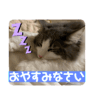 ルークvol.2（個別スタンプ：4）