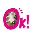 ルークvol.2（個別スタンプ：5）