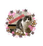 ルークvol.2（個別スタンプ：7）