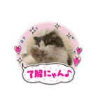 ルークvol.2（個別スタンプ：9）