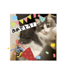 ルークvol.2（個別スタンプ：11）