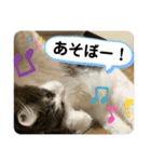 ルークvol.2（個別スタンプ：12）