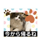 ルークvol.2（個別スタンプ：13）