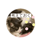 ルークvol.2（個別スタンプ：15）