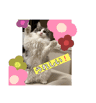 ルークvol.2（個別スタンプ：20）