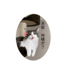 ルークvol.2（個別スタンプ：21）