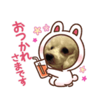 ぐー＆てぃふぁ（個別スタンプ：7）