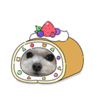 maru！（個別スタンプ：5）
