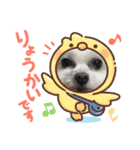 maru！（個別スタンプ：8）