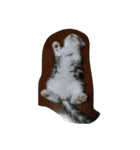 ランラン蘭丸（個別スタンプ：9）