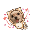 マルチーズみぃちゃん（個別スタンプ：22）